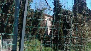 L’erba alta ai bordi dell’ex campino di calcio di Villamagna