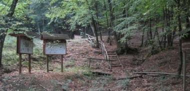Un tratto del sentiero attrezzato nella foresta del Berignone a Volterra 
