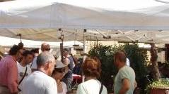 «Furgoni degli antiquari col permesso invalidi»