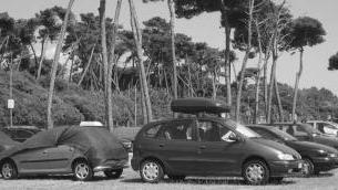 La zona della Partaccia a Marina