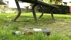 L’assessore Alberto Ciampi e uno scorcio dei giardini di via Livorno