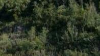 <b>LA PORTA </b>del Parco ai Bagnetti di Gavorrano ospita oggi il primo incontro
