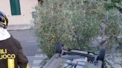 <b>AUTO.</b> Ribaltata nel fosso