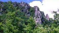 Porte aperte all'oasi di Rocconi Passeggiata fino all'Albegna