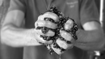 La mostra sulle "mani di vino" al Roma