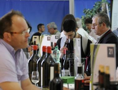 <b>ASSAGGI DAUTORE </b>in questi giorni nei padiglioni del Maremma Wine Shire al Madonnino 