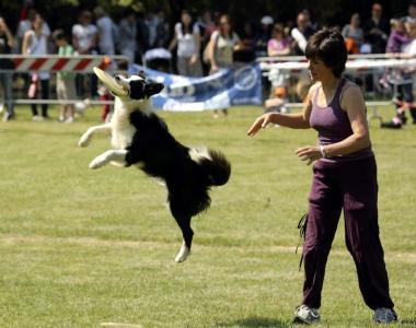Dimostrazione di abilit&agrave; durante il Dog Pride 