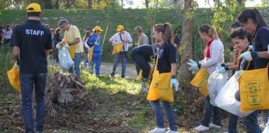 Ecco la vetrina sull'ambiente