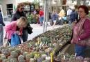 Dalle 9 alle 19 nel centro di Empoli mostra mercato di fiori e piante