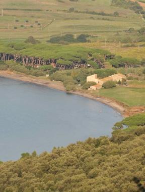 Il golfo di Baratti     