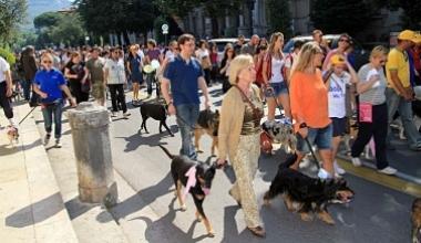 Tanti partecipanti alla giornata dell'orgoglio canino