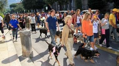 Tanti partecipanti alla giornata dell'orgoglio canino