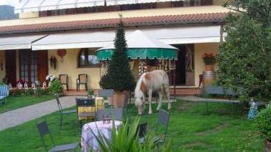 In crescita esponenziale i clienti delle strutture bed and breakfast