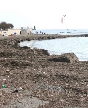 La spiaggetta dei Tre Ponti 