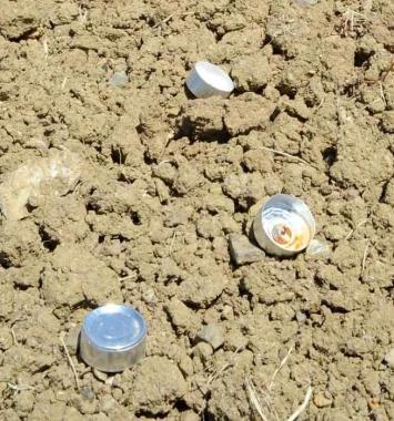 I lumini nel campo attiguo al parco di Villa La Màgia Non era un rito esoterico