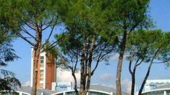 Il polo fiere alla ex Bertolli a Sorbano del Giudice