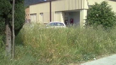 L’ufficio postale nascosto dall’erba