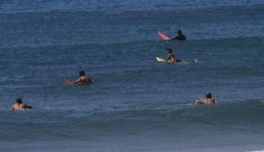 Alcuni surfisti in mare    