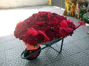 Regala mille rose rosse all'amata e il gossip si scatena
