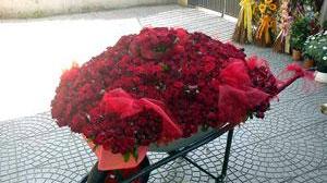 Regala mille rose rosse all'amata e il gossip si scatena