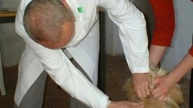 A sinistra il sindaco Gabbanini con il suo labrador Lucky
