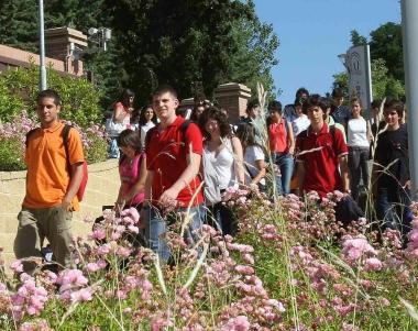 Ragazzi in un campo estivo      