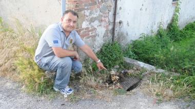 Un gatto bruciato trovato da un cittadino che ha dato l’allarme