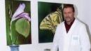 Stop al centro di medicina naturale