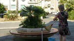 Adotta un'area verde Bando del Comune aperto a tutti