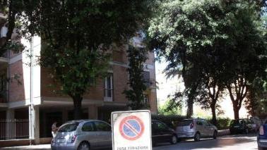<b>VIA SPERI.</b> I lecci che saranno abbattuti