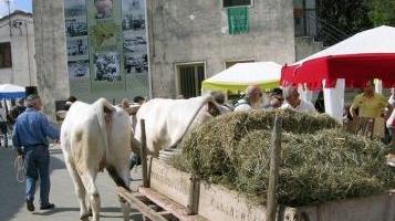 Un momento della Festa della Fienagione