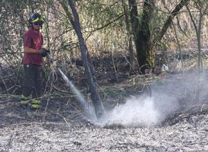 Incendio di campo danneggia i carri