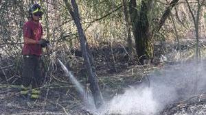 Incendio di campo danneggia i carri