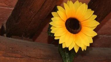 Sopra Silvia Mancina con la bandiera sarda In alto il girasole