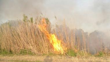 Un volontario impegnato a spegnere un rogo; sopra un focolaio sullargine dellArno allaltezza di San Donato  