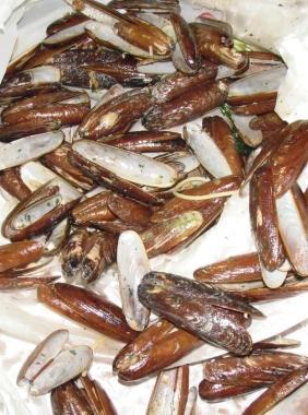 Un piatto di frutti di mare 