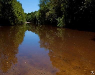 Il fiume Cecina viola-nero, come appariva domenica mattina 