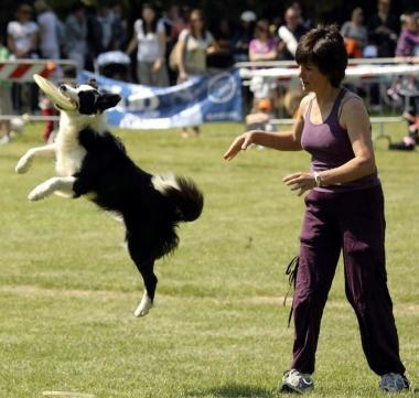 Esibizione al Dog Pride Day 