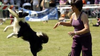 Esibizione al Dog Pride Day