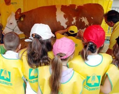 Alunni in una delle fattorie didattiche ieri a Roma    