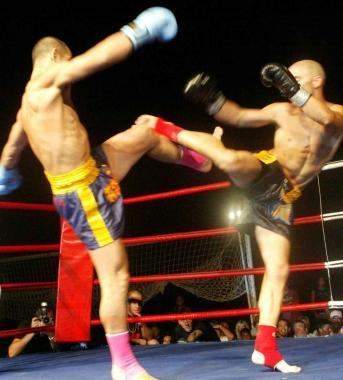 <b>SHOW. </b> Arti marziali: grande spettacolo sabato 18 giugno al Pala Macchia             
