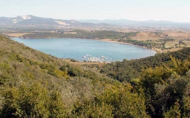 &Egrave; lotta alla limantria che gi&agrave; allo stato larvale rappresenta un pericolo per le foreste ed &egrave; presente sul promontorio e nel bosco da Populonia a Baratti 