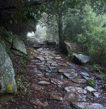 <b>GIGLIO. </b>Una delle vecchie mulattiere 