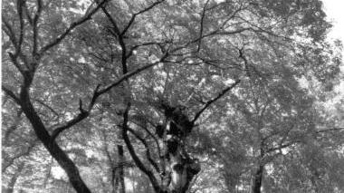 Il parco della Sterpaia