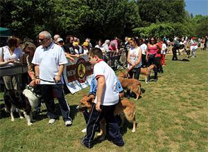 Cani e padroni: ricette uguali al Village