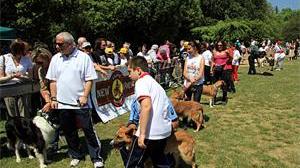 Cani e padroni: ricette uguali al Village
