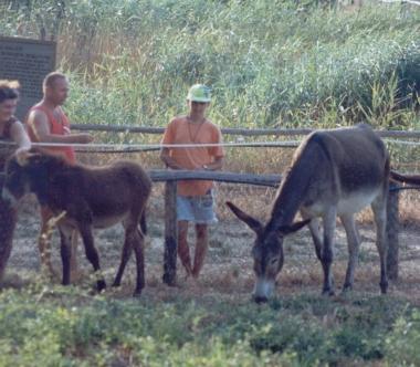 Tutti in visita al Parco