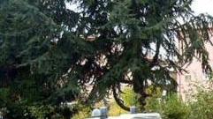 Minaccia di uccidersi in preda all'ira, salvato dai carabinieri prima di arrivare ai Ponti di Vara