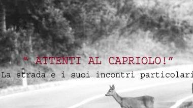 Una parte dell’elebaorato vincente
