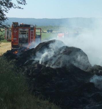 Unimmagine dellincendio doloso nella zona di Bulera 
